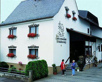 Pension Waldesruh Welschneudorf Dış mekan fotoğraf